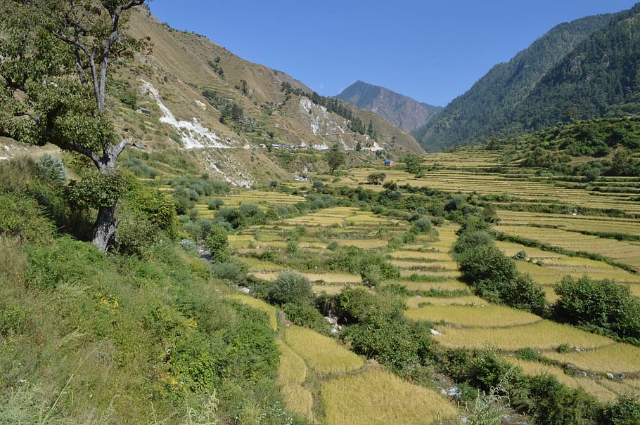 hiking-around-kathmandu-valley
