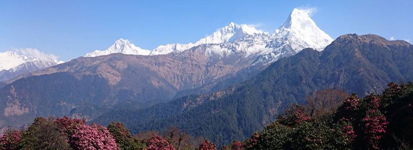 short-trek-in-nepal
