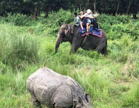 Chitwan-jungle-safari-1night-2days